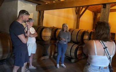 Une parenthèse au cœur du vignoble