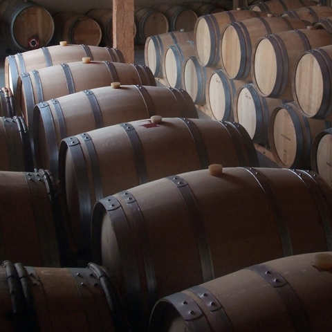 Chateau Carmenere chai