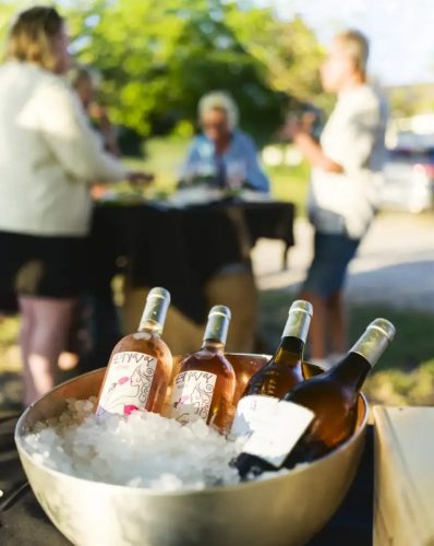 Chateau Carmenere degustation