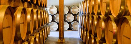 chateau-carmenere actualites
