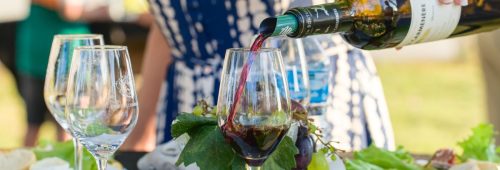chateau-carmenere galerie